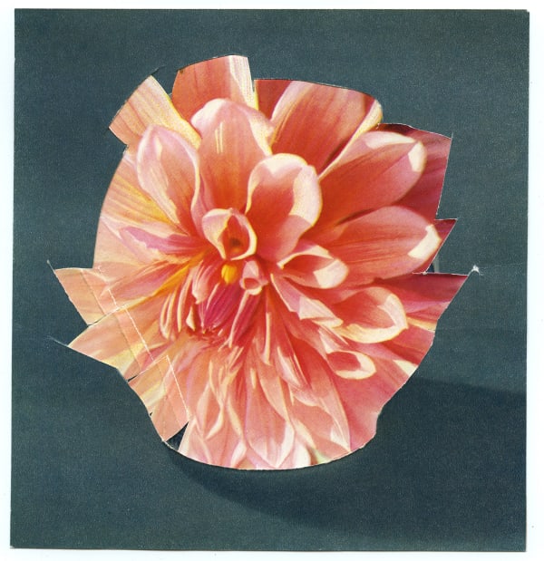 Ruth van Beek, Untitled (The Arrangement), 2012