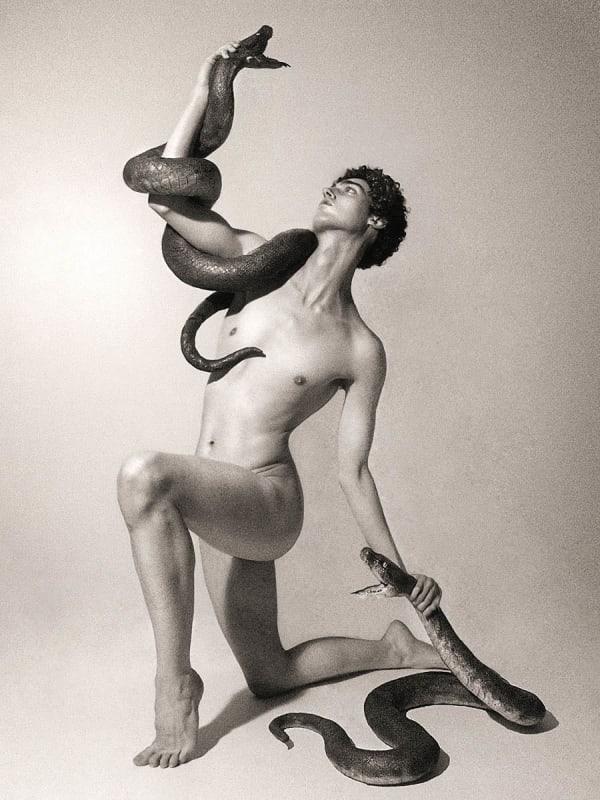 Christopher Smith, Untitled (Hercules), 2022