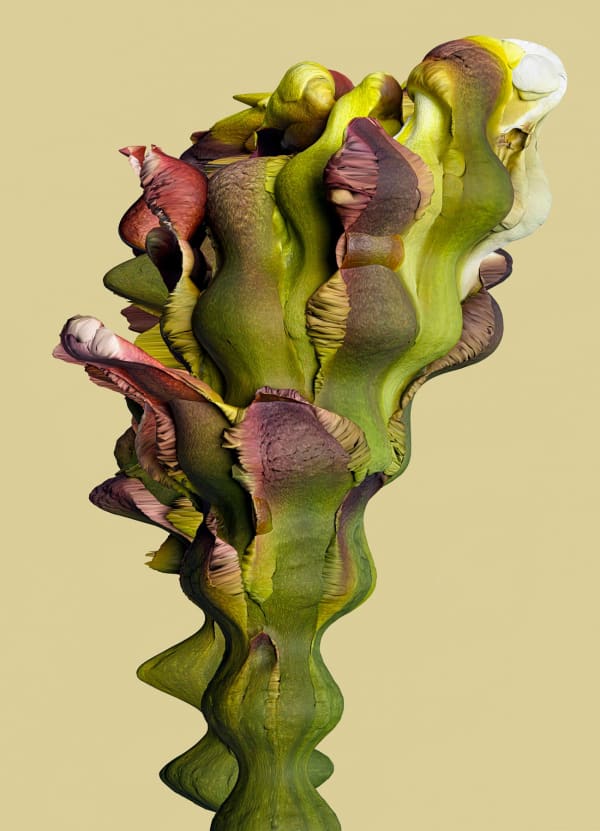 Vincent Fournier, Flora Incognita; Arcanum ferrata [Albedo-186f], 2022