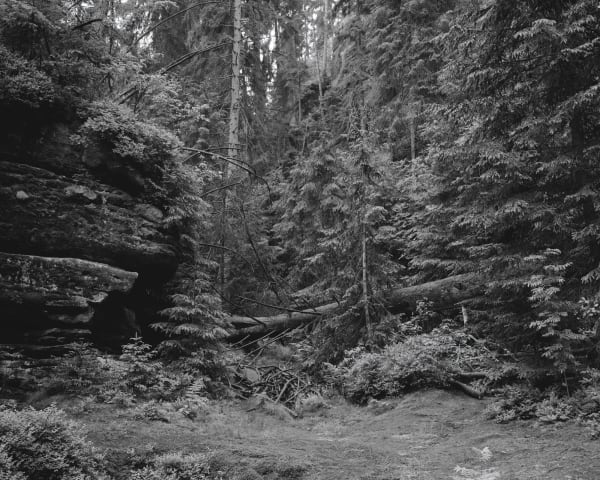 Tereza Zelenkova, Landscape, Aderšpach, 2015