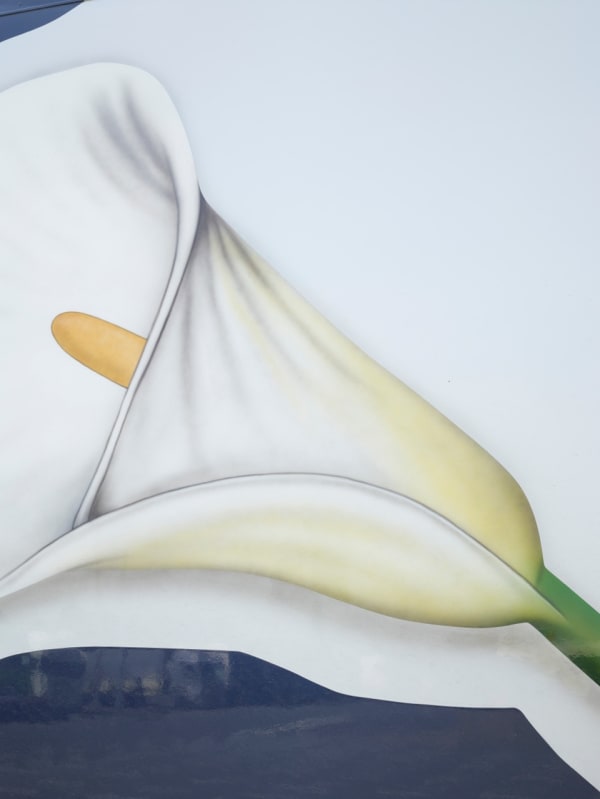 Scheltens & Abbenes, Trailer #3: White Calla Lily, 2016