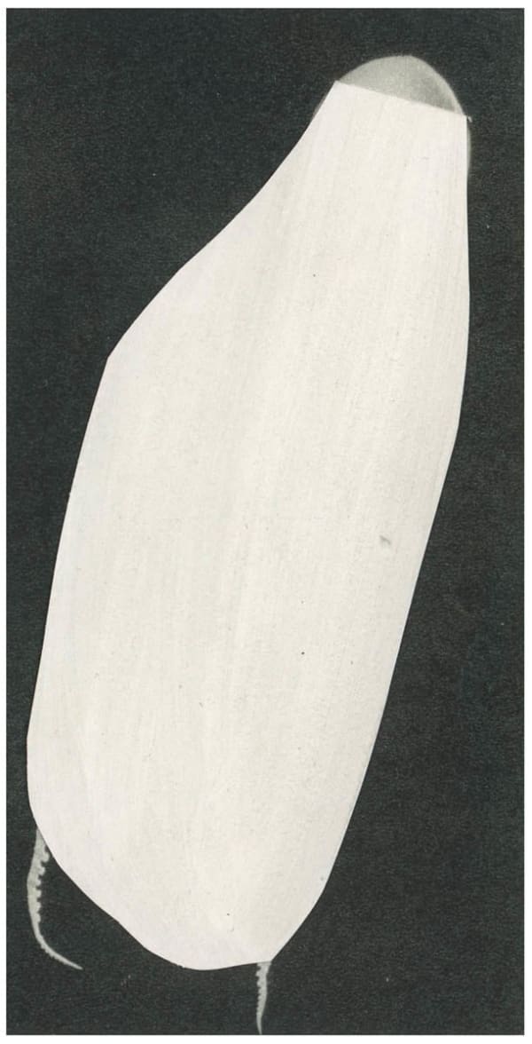 Ruth van Beek, Untitled (Figure 57), 2020