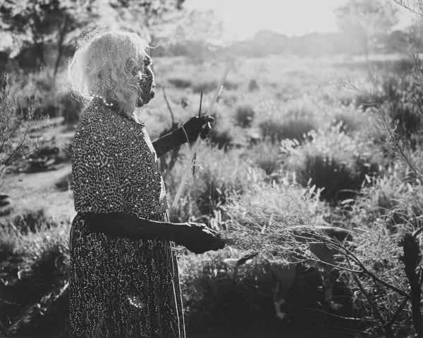 Patrick Waterhouse, Whisky Is My Dog. Jinta / Restricted with Ruth Nungarrayi Spencer. , 2014 - 2018