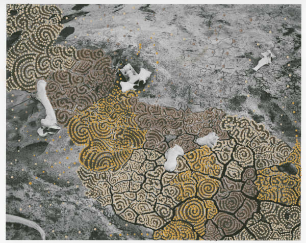 Patrick Waterhouse, In-between Way. Jarra / Restricted with Kirsty Anne Napanangka Brown., 2014 - 2018