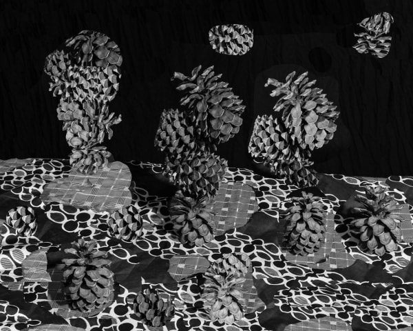 Nico Krijno, Pattern Study with Pine Cones, 2017