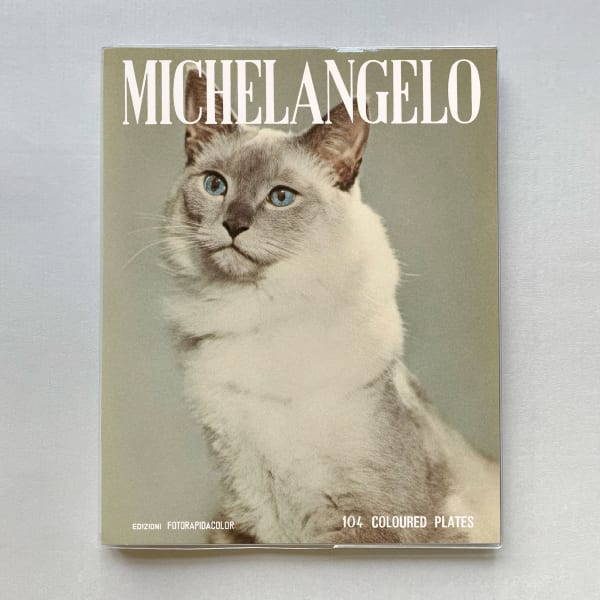 Koen Hauser, Cats, 2024