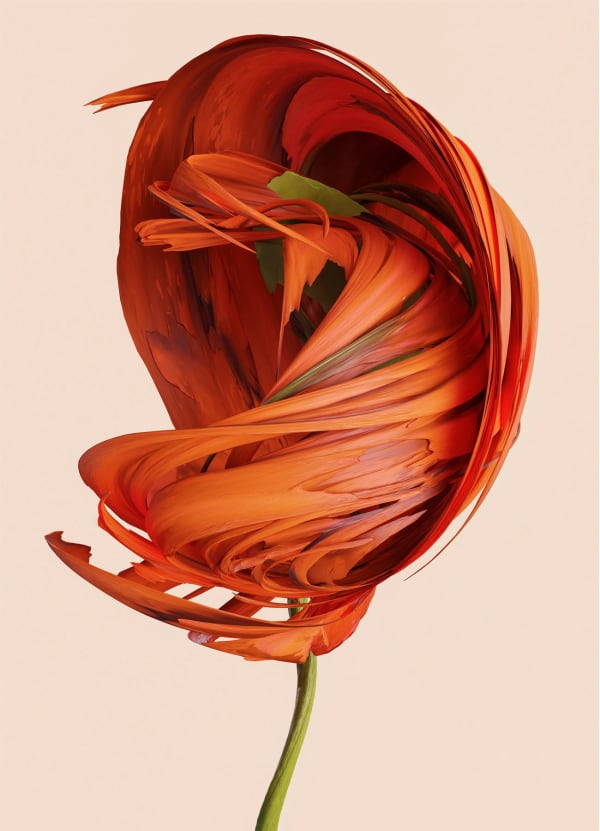 Vincent Fournier, Flora Incognita; Nerine incognita, 2022