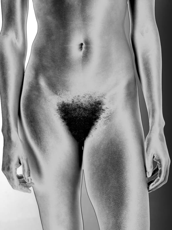 Mona Kuhn, Bushes 20, 2018