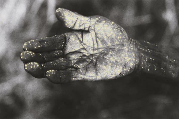 Patrick Waterhouse, Look / Restricted with Ruth Nungarrayi Spencer, 2014 - 2018