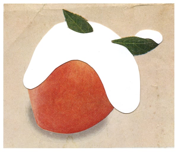 Ruth van Beek, Peach covered with snow, 2014