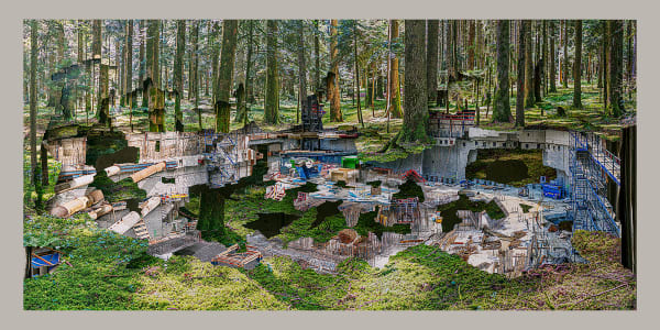 Michel Lamoller, Contemporary Nature 2, 2025