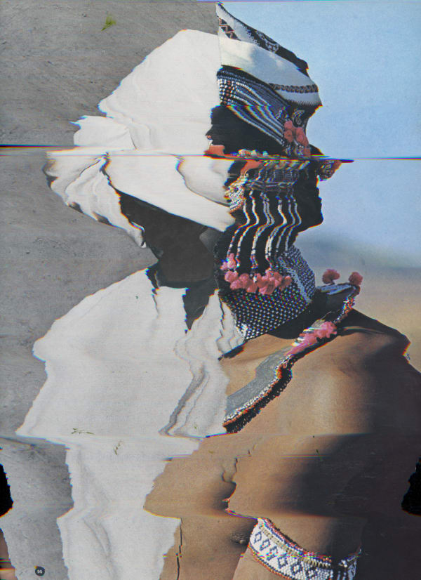 Nico Krijno, Lockdown Collage #161, 2020