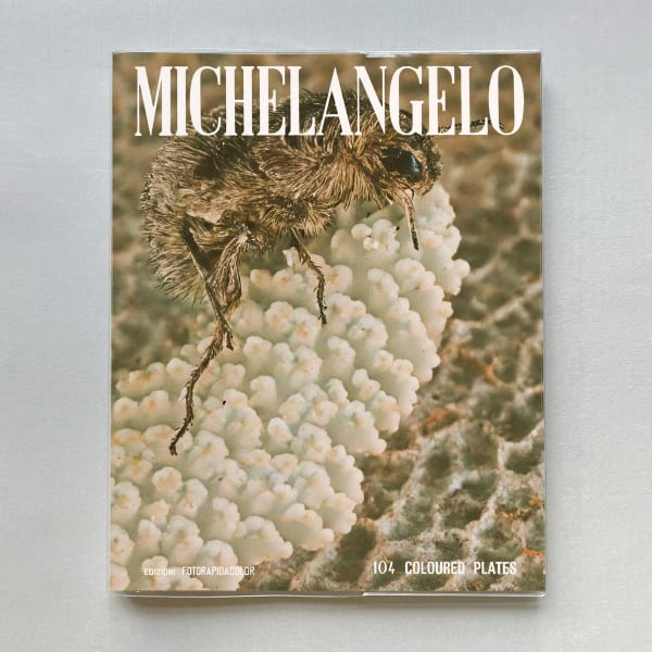 Koen Hauser, Insects, 2024