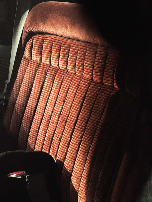 Vera van Dam, Dahlia (11), 2024