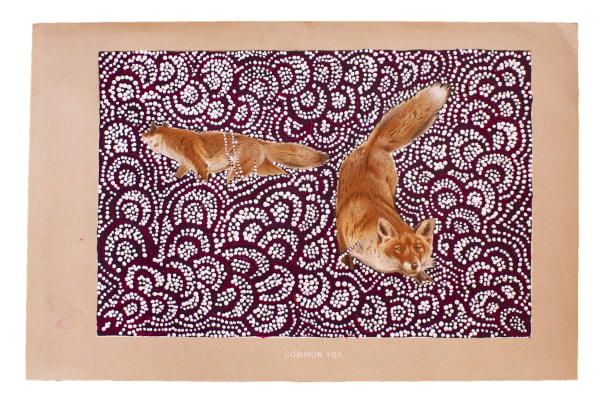 Patrick Waterhouse, Lithographic print of the common fox. Revised with Melinda Napurrurla Wilson., 2014 - 2018