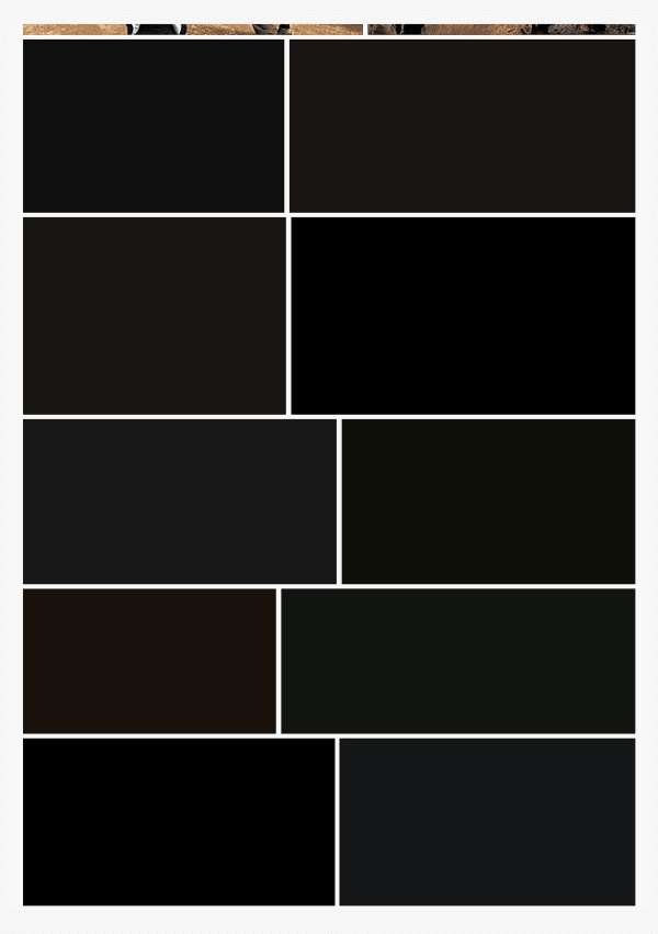 Jan Rosseel, IS 01 - IS/ISIS (On the Aesthetics of Violence), 2016