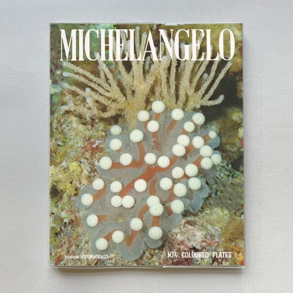 Koen Hauser, Coral Reefs, 2024