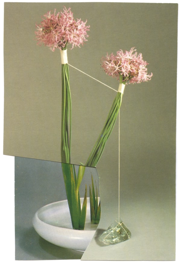 Ruth van Beek, Untitled (The Arrangement), 2012
