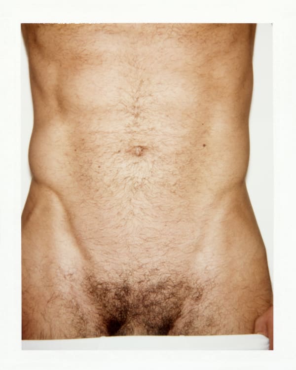 Ferry van der Nat, Sukru 'Abdominis' (April), 2013