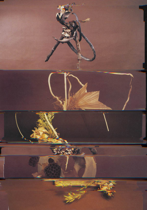 Nico Krijno, Lockdown Collage #123, 2020