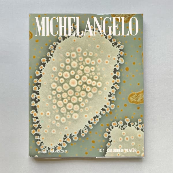 Koen Hauser, Microscopic, 2024