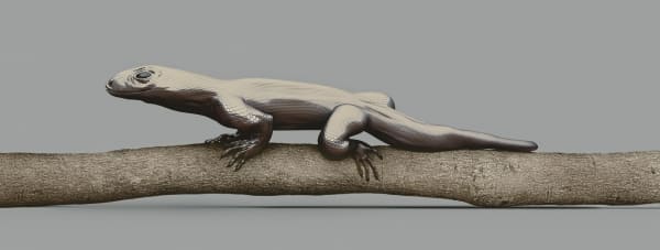 Vincent Fournier, Monitor Lizard [Varanus imitabilis] Mimetic lizard, 2014