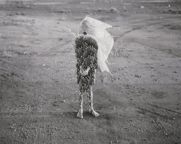 Patrick Waterhouse, Which Way? Jinta / Restricted with Jessica Napanangka Lewis., 2014 - 2018