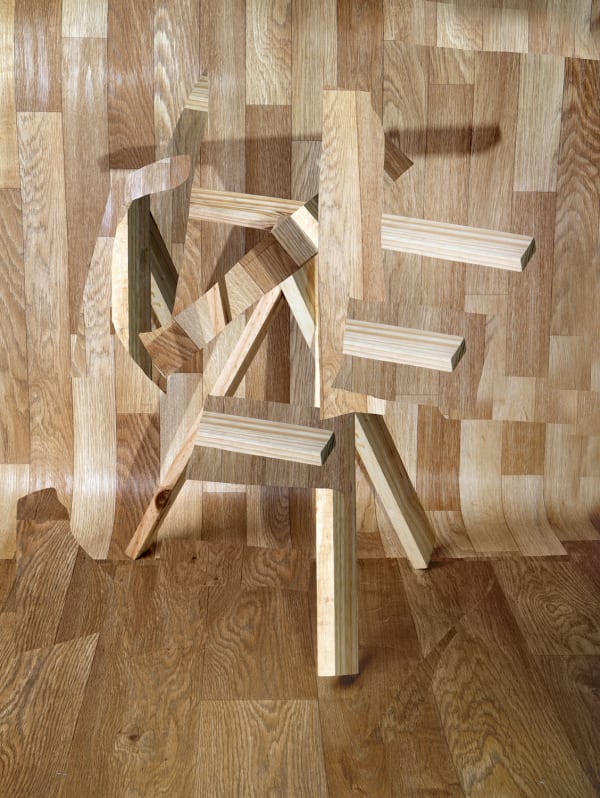 Nico Krijno, Veneer Wood Wood 2, 2014