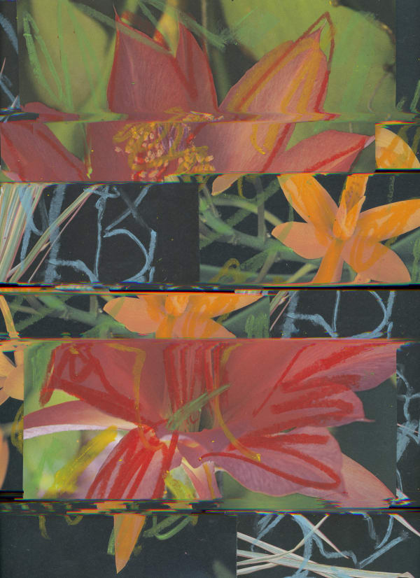 Nico Krijno, Lockdown Collage #140, 2020