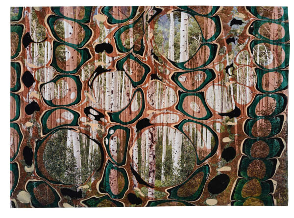 Chloe Sells, The Mother Tree, 2019