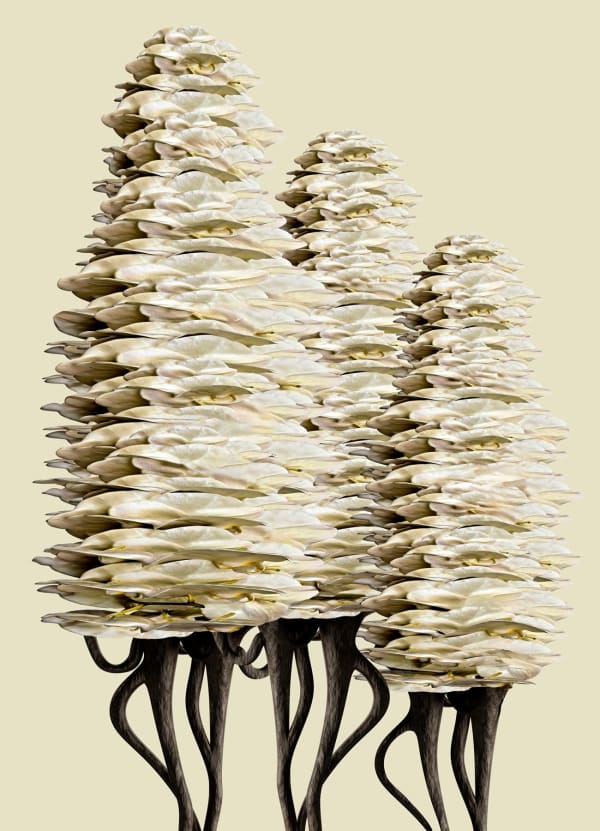 Vincent Fournier, Flora Incognita; Asciflora strata [Ventura-7c], 2022