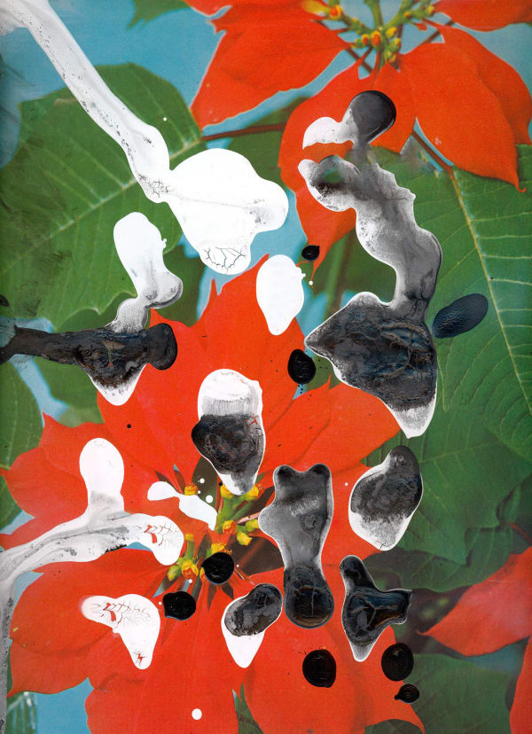 Nico Krijno, The Constellation #050, 2022