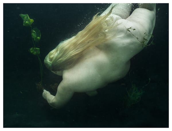 Mariken Wessels, Nude, Water and Green Leaves III, 2018