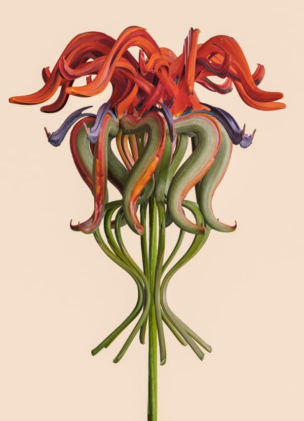 Vincent Fournier, Flora Incognita; Strelitzia incognita, 2022