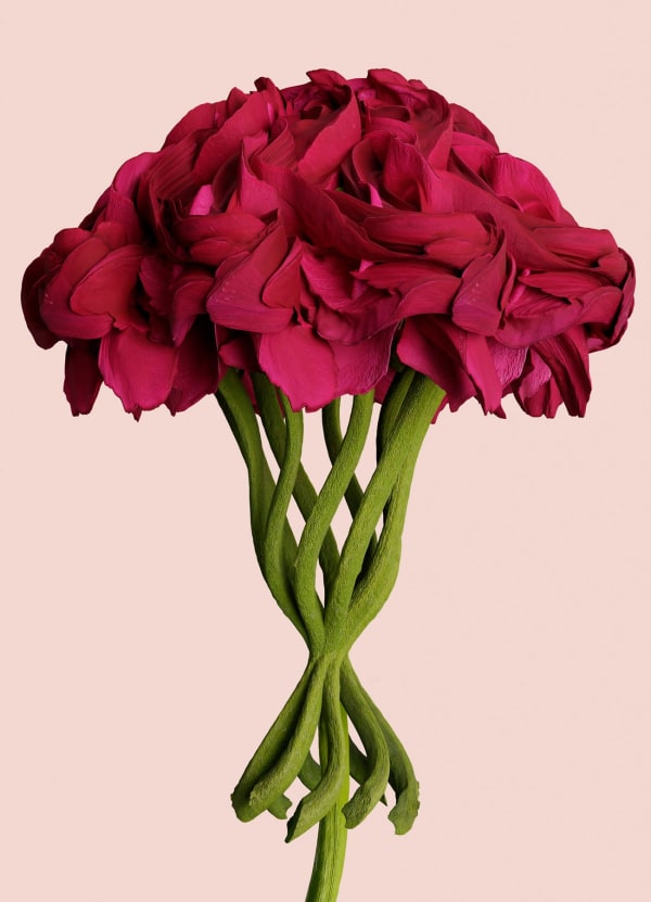 Vincent Fournier, Flora Incognita; Sargalda nodosa [Gallifrey-186f], 2022