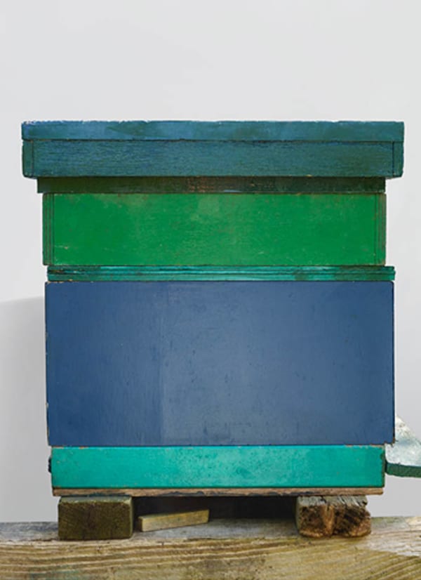 Scheltens & Abbenes, Beehives: Blue & Green, 2017