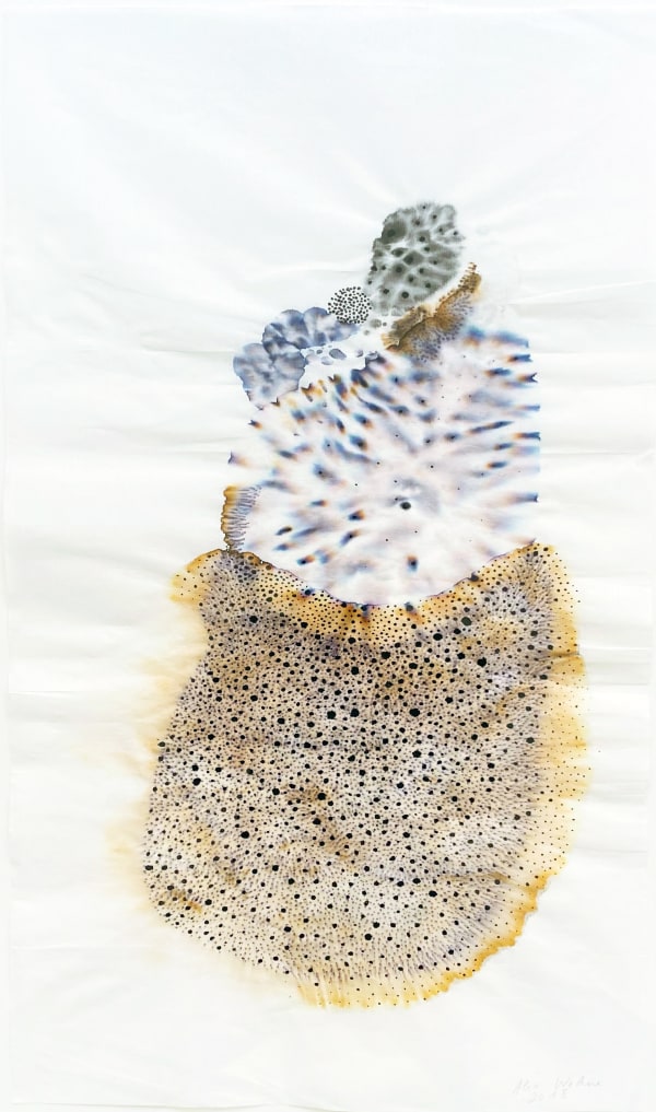 Concretion #6