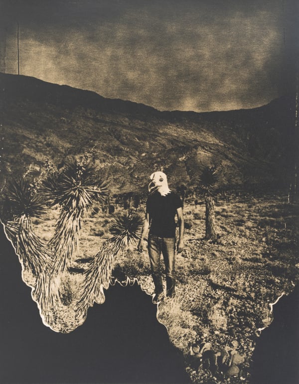 The Eagle has Landed