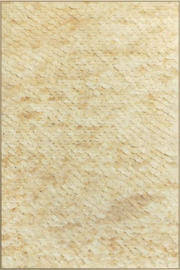 Hydrangea macrophylla