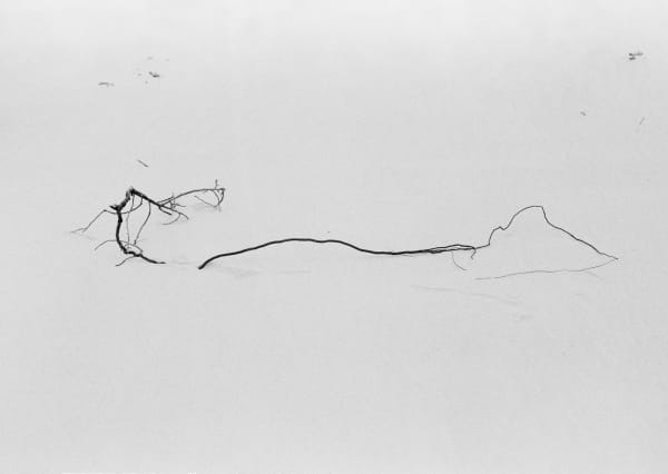 Patyk (stick)