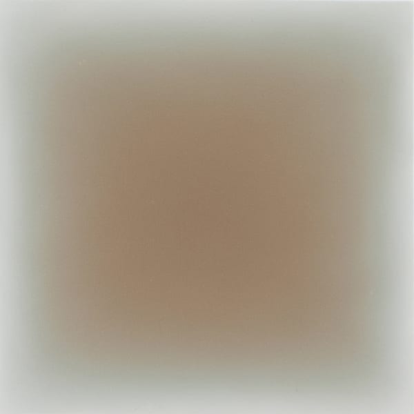 04.15.20 brown on indanthrone blue-grey