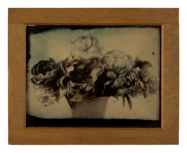 Sadie's Peonies