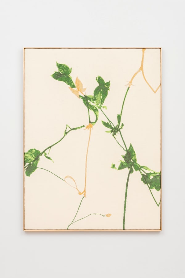 Impossibilis grandifolius (initiating transmutation into peradam)