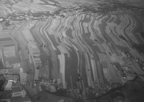 Fieldland