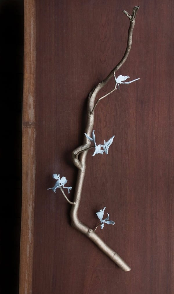 fulguris herbaria (fragment)