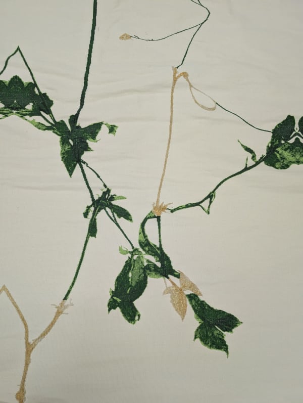 Impossibilis grandifolius (initiating transmutation into peradam)