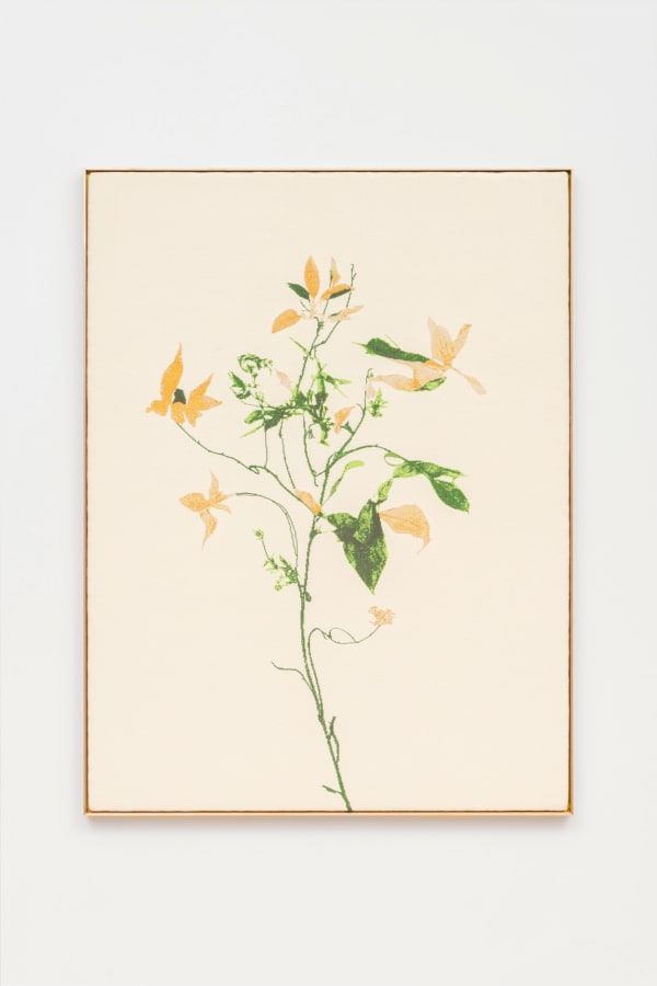 Arbor incongruens (initiating transmutation into peradam)