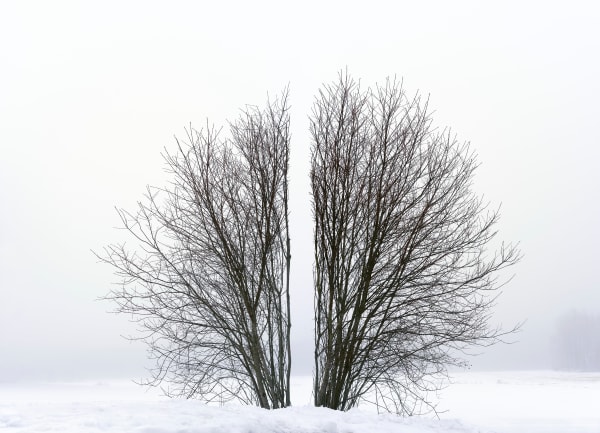 Antti Laitinen, Broken Landscape III, 2017