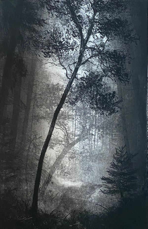 Fiona Fouhy, Sheltering