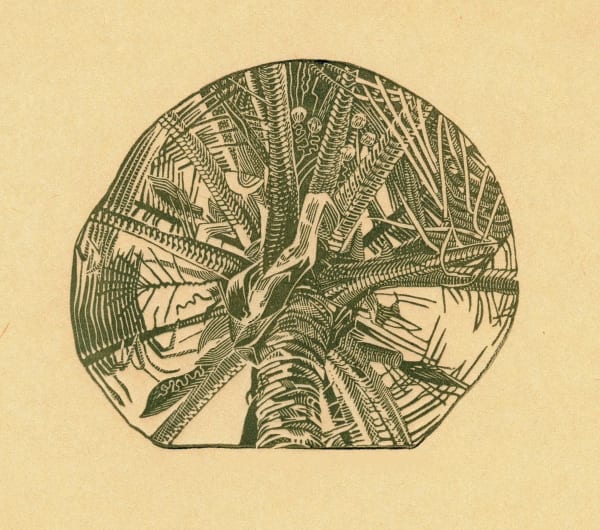 Anne Desmet R.A., Indian Palm Tree, 1987